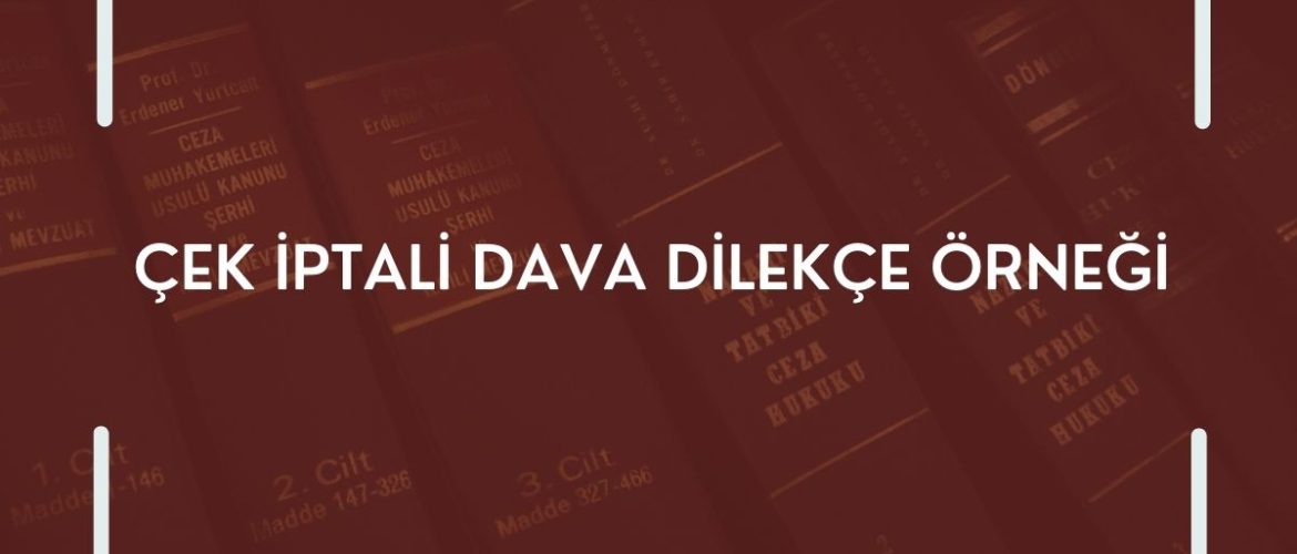 Çek İptali Dava Dilekçesi